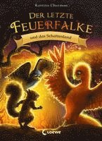 bokomslag Der letzte Feuerfalke und das Schattenland (Band 5)