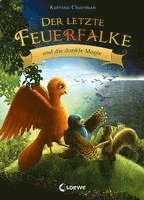 bokomslag Der letzte Feuerfalke und die dunkle Magie (Band 6)