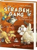 Die Straßengäng (Band 2) - Gut getrickst ist halb gewonnen 1