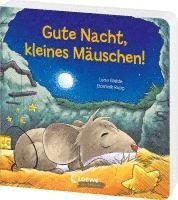 bokomslag Gute Nacht, kleines Mäuschen!