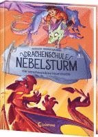 Drachenschule Nebelsturm (Band 2) - Der verschwundene Feuerdrache 1