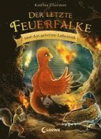 bokomslag Der letzte Feuerfalke und das geheime Labyrinth (Band 10)