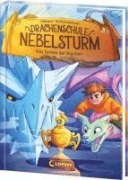 bokomslag Drachenschule Nebelsturm (Band 3) - Das Turnier der Drachen