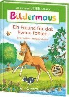 bokomslag Bildermaus - Ein Freund für das kleine Fohlen