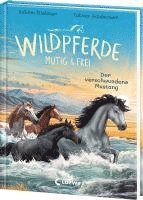 bokomslag Wildpferde - mutig und frei (Band 4) - Der verschwundene Mustang