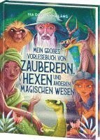 bokomslag Mein großes Vorlesebuch von Zauberern, Hexen und anderen magischen Wesen