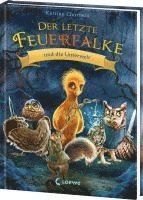 bokomslag Der letzte Feuerfalke und die Unterwelt (Band 11)