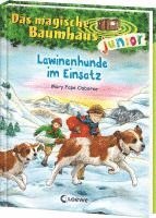 bokomslag Das magische Baumhaus junior (Band 40) - Lawinenhunde im Einsatz