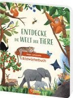 bokomslag Entdecke die Welt der Tiere - Mein schönstes Bildwörterbuch