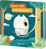 bokomslag Schau mal, was passiert! In der Nacht