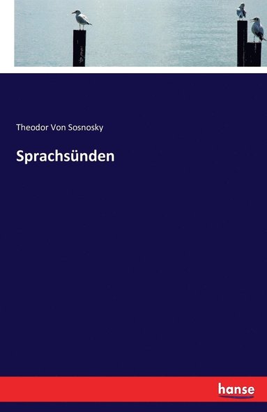 bokomslag Sprachsünden