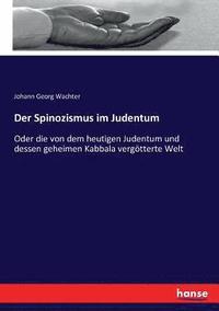 bokomslag Der Spinozismus im Judentum
