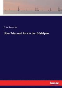 bokomslag UEber Trias und Jura in den Sudalpen