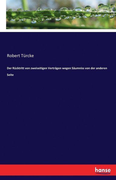 bokomslag Rücktritt von zweiseitigen Verträgen wegen Säumniss von der anderen Seite