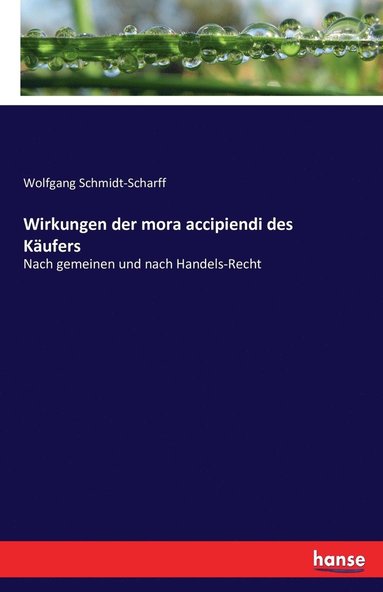 bokomslag Wirkungen der mora accipiendi des Käufers