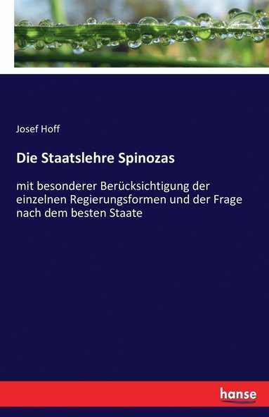 bokomslag Staatslehre Spinozas