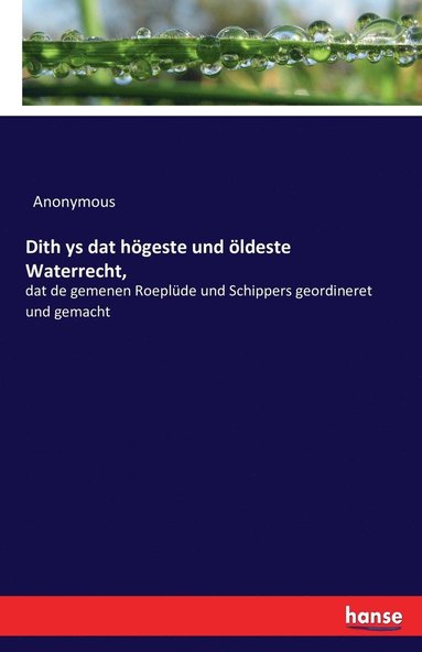 bokomslag Dith ys dat högeste und öldeste Waterrecht,