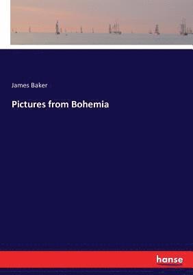 James Baker - Pictures from Bohemia, Häftad