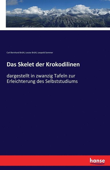 bokomslag Das Skelet der Krokodilinen