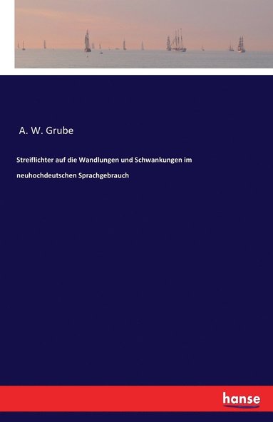 bokomslag Streiflichter auf die Wandlungen und Schwankungen im neuhochdeutschen Sprachgebrauch