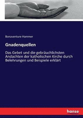 Bonaventure Hammer - Gnadenquellen, Häftad