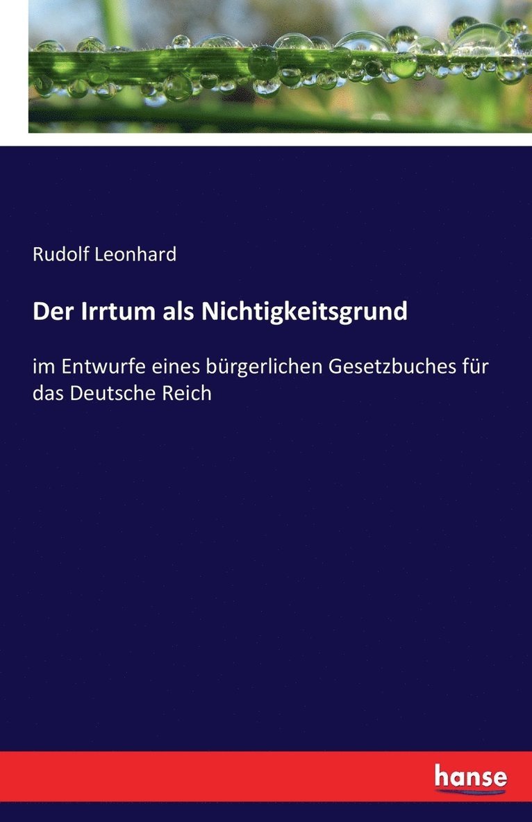 Rudolf Leonhard - Irrtum als Nichtigkeitsgrund, Häftad