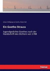 bokomslag Ein Goethe-Strauss