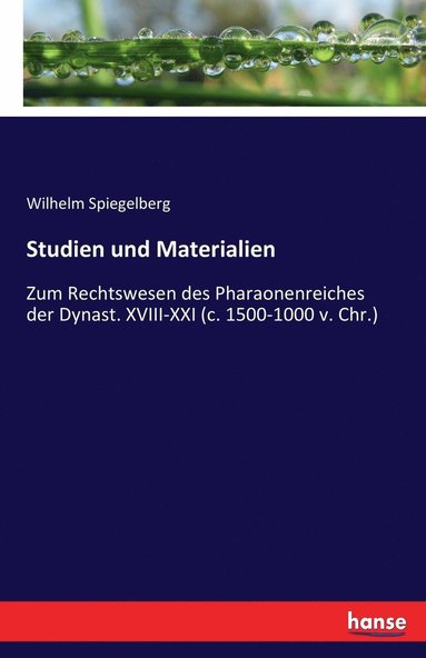 Wilhelm Spiegelberg - Studien und Materialien, Häftad