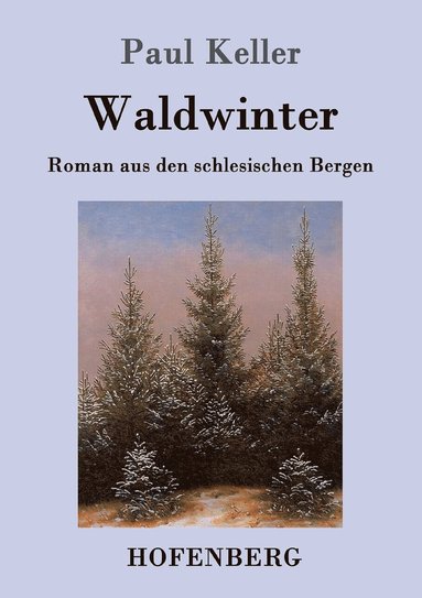 bokomslag Waldwinter