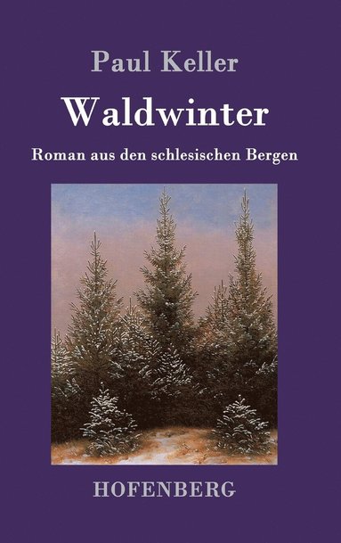 bokomslag Waldwinter