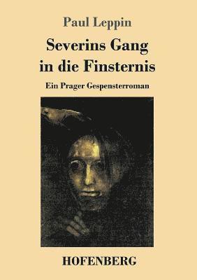 bokomslag Severins Gang in die Finsternis