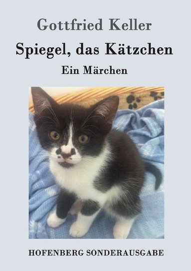 bokomslag Spiegel, das Ktzchen