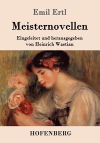 bokomslag Meisternovellen