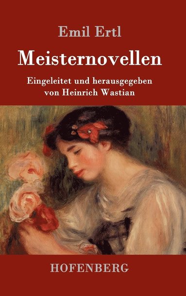 bokomslag Meisternovellen