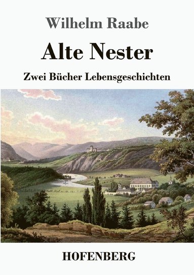 Wilhelm Raabe - Alte Nester, Häftad