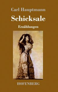 bokomslag Schicksale