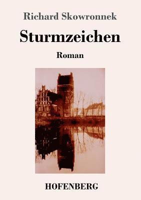 bokomslag Sturmzeichen