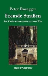 bokomslag Fremde Straßen