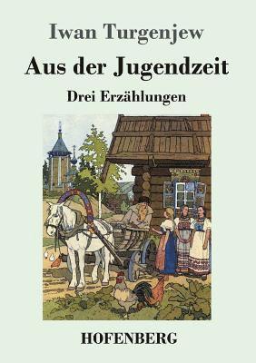 Iwan Turgenjew - Aus der Jugendzeit, Häftad