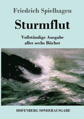 Friedrich Spielhagen - Sturmflut, Häftad