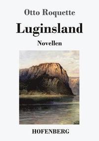 bokomslag Luginsland