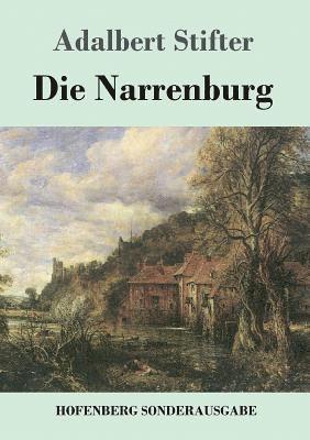 bokomslag Die Narrenburg