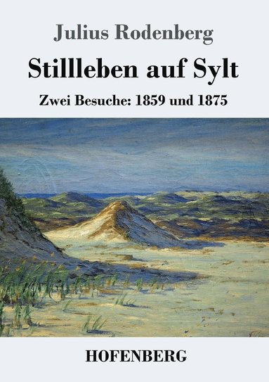 bokomslag Stillleben auf Sylt