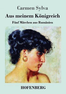 Carmen Sylva - Aus meinem Königreich, Häftad