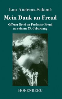 bokomslag Mein Dank an Freud