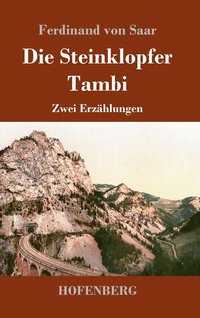 bokomslag Die Steinklopfer / Tambi