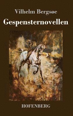 bokomslag Gespensternovellen