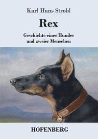 bokomslag Rex