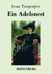 bokomslag Adelsnest