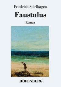 bokomslag Faustulus